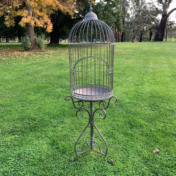 Decorative bird discount cages