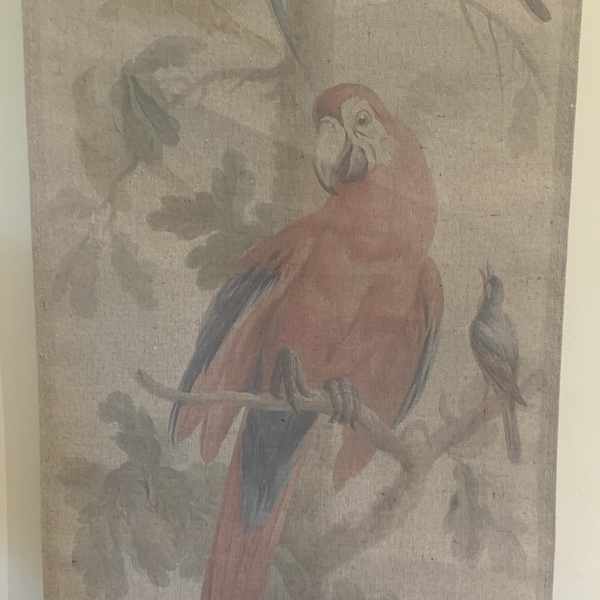 Wall Hanging Scroll, Print on Fabric Unique Vintage Parrot Red Birdlife up close of red parrot detail