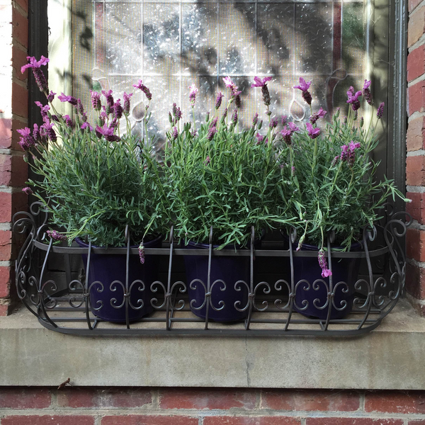 Set of 2, Wall/Window Pot Planters, Box Basket - Wrought Iron in the garden with plants outdoor.