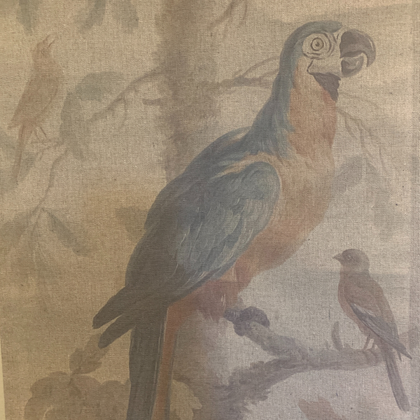 Wall Hanging Scroll, Print on Fabric Unique Vintage Parrot Blue Birdlife up close of blue parrot