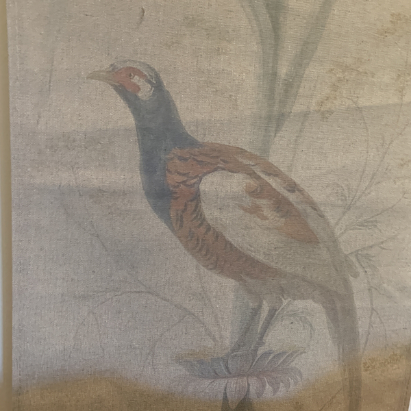 Wall Hanging Scroll, Print on Fabric Unique Vintage Pheasant Birdlife up close pheasant detail