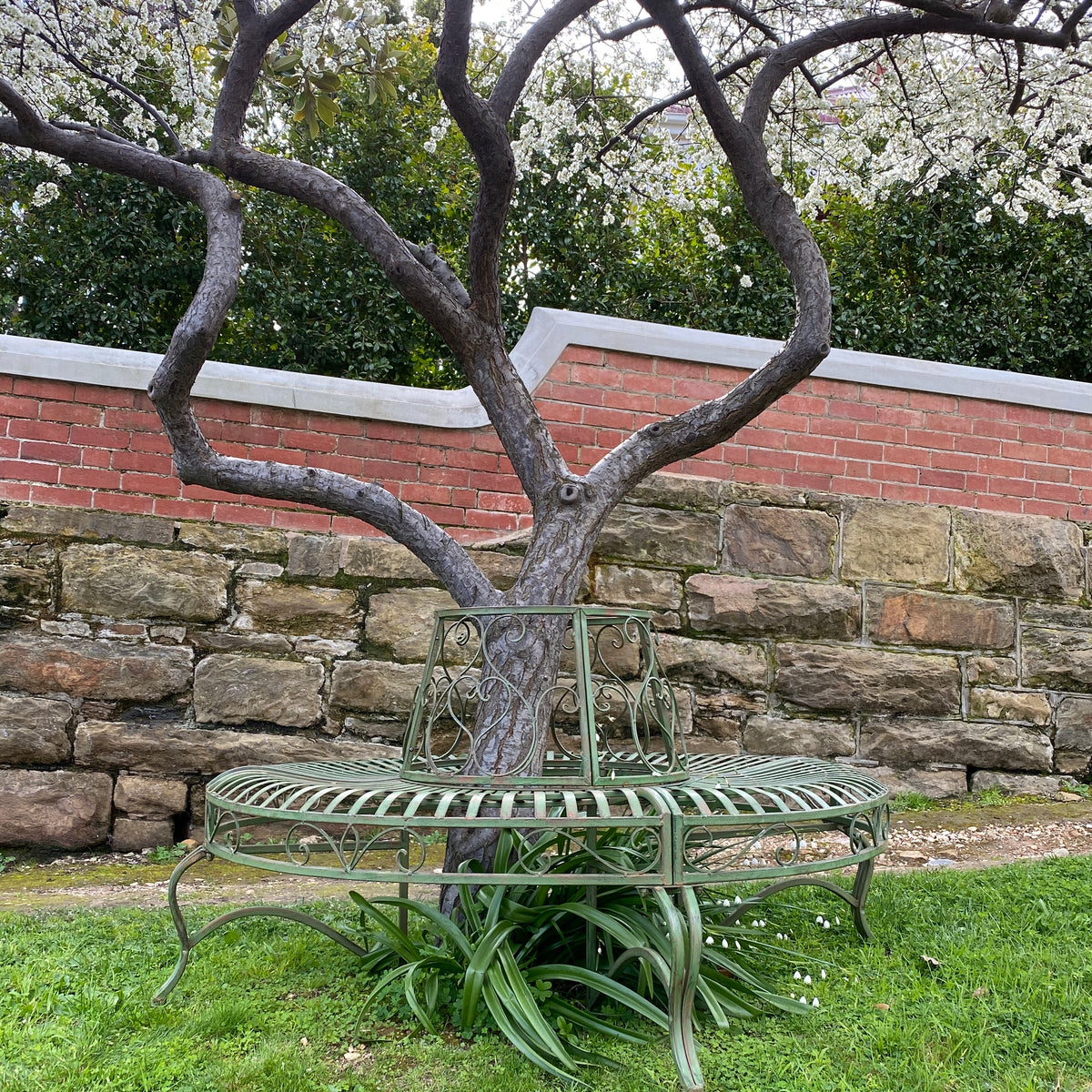 Tree Surrounds – The Complete Garden