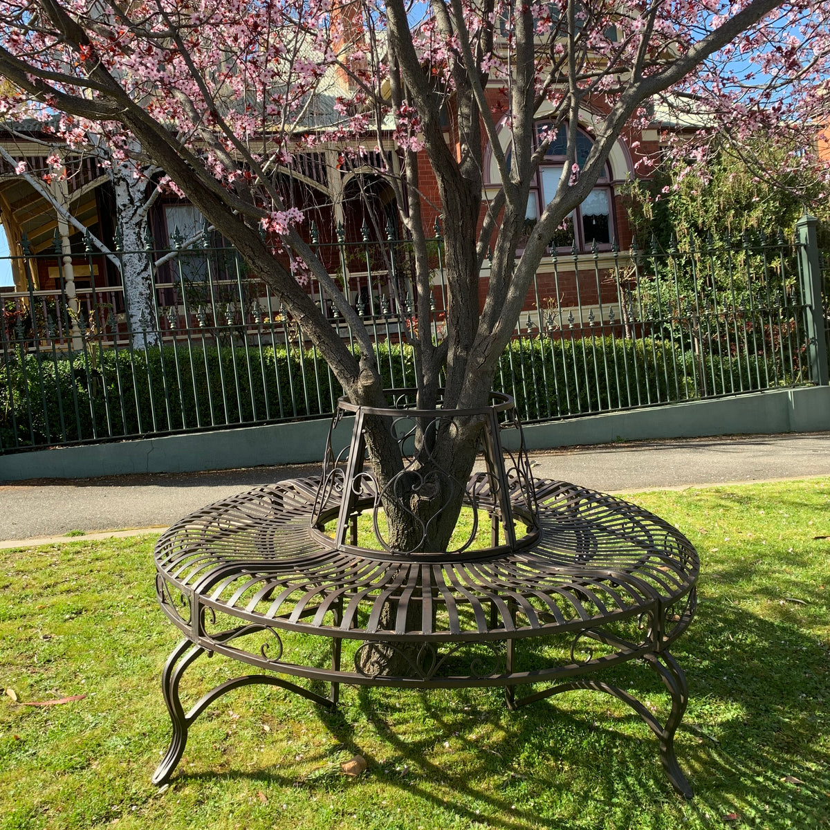 Tree Surrounded Tree Surrounds – The Complete Garden