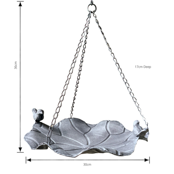 Hanging bird feeder with birds on the edge shown with dimensions