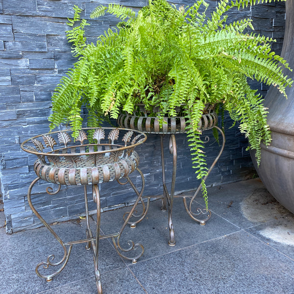 SET 2 Planter Stands/ Holders Decorative Metal in Antique Bronze/ Verdi finish  Large: 54x54x64cm high Medium: 42x42x52cm high