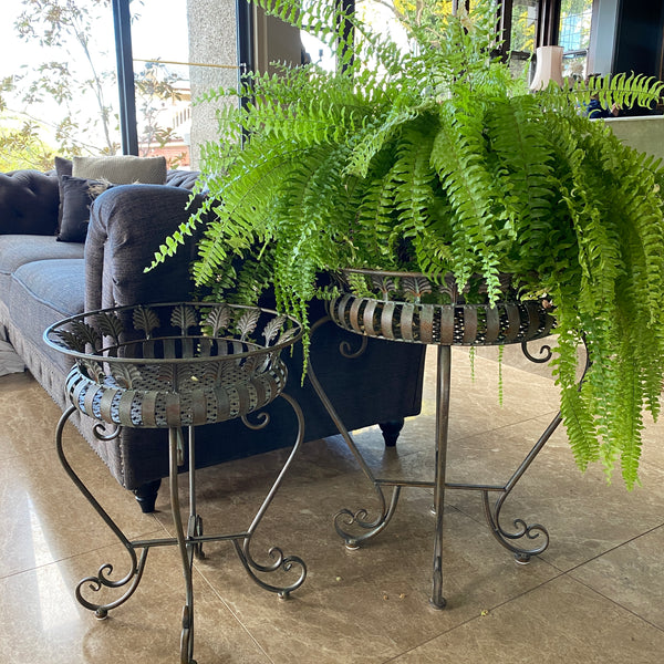 SET 2 Planter Stands/ Holders Decorative Metal in Antique Bronze/ Verdi finish  Large: 54x54x64cm high Medium: 42x42x52cm high